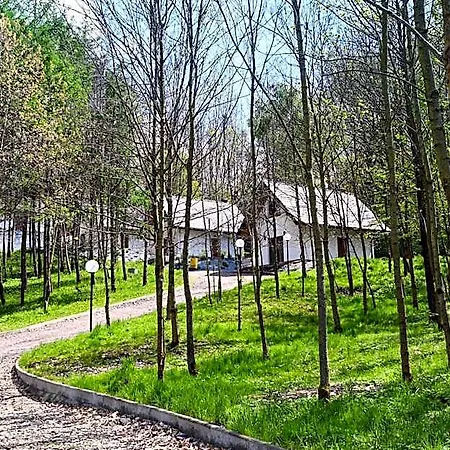 Üdülőpark Lowisko Wieniec *