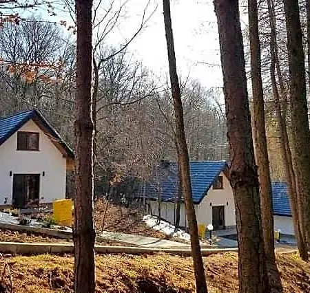 Lowisko Wieniec Üdülőpark *